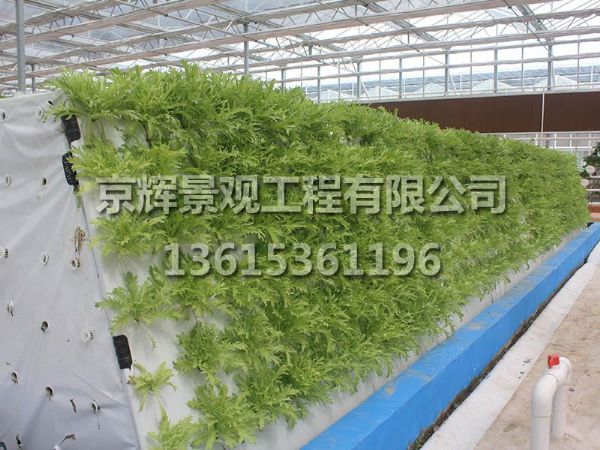 梯形氣霧培