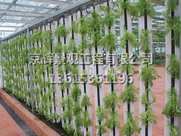 拉鏈式栽培
