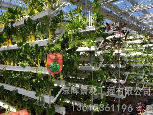 立體管道