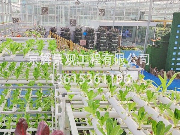 智慧蔬林