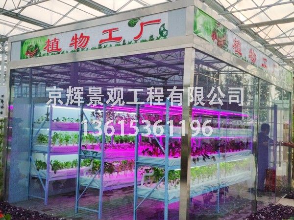 植物工廠